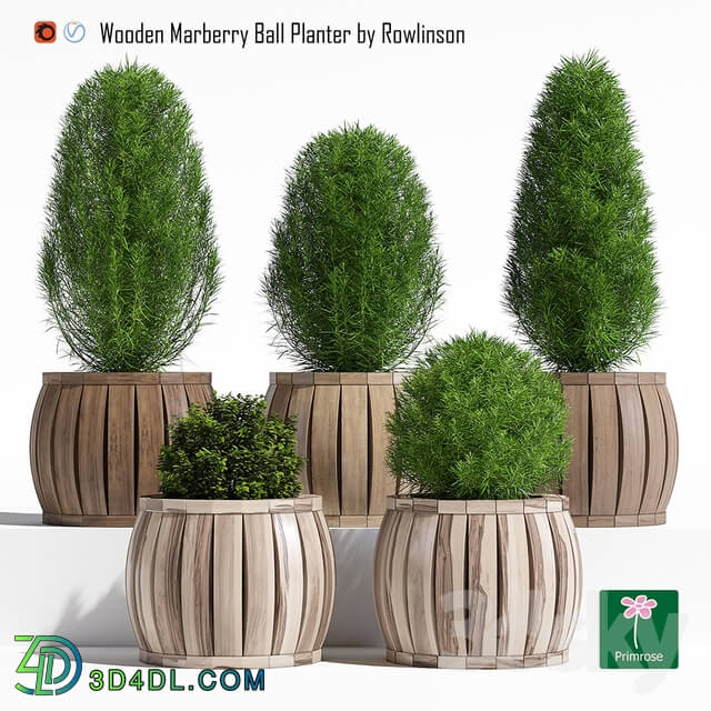 Plant - Marberry ball planter
