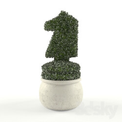 Plant - Topiary horse 