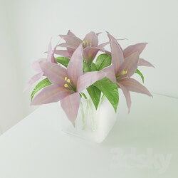 Plant - bouquet of lilies 