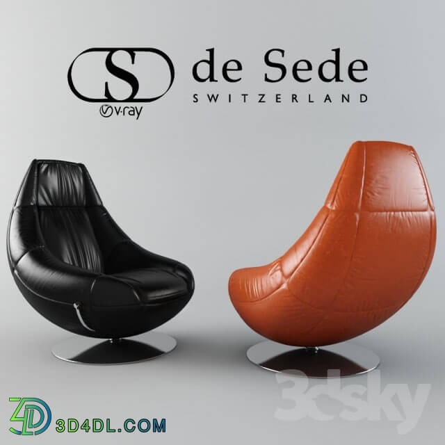 Arm chair - De Sede armchair DS-166