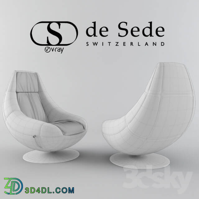 Arm chair - De Sede armchair DS-166