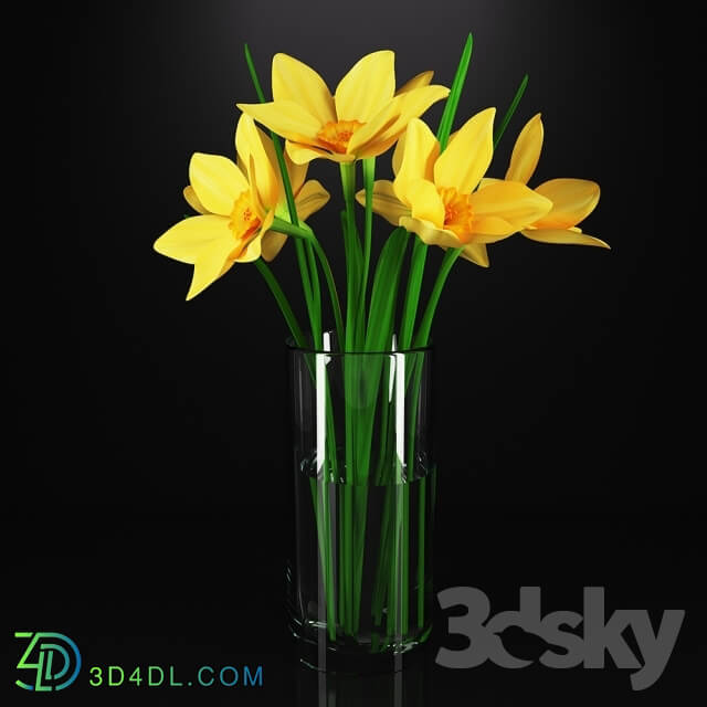 Plant - Daffodils in a glass vase
