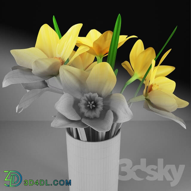 Plant - Daffodils in a glass vase