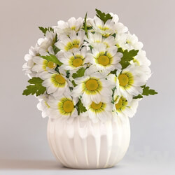 Plant - Chrysanthemums in a vase 