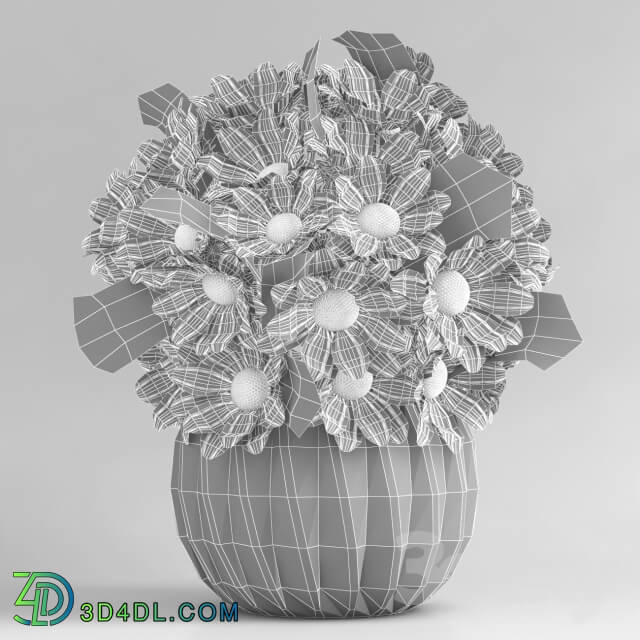 Plant - Chrysanthemums in a vase