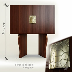 Wardrobe _ Display cabinets - Lorenzo Tondelli Carapace 