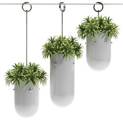 Plant - HANGING VASE 3 