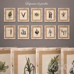 Frame - Collection of 10 paintings _quot_Legumes du jardin_quot_ 