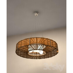 Ceiling light - Lighting Fixtures 