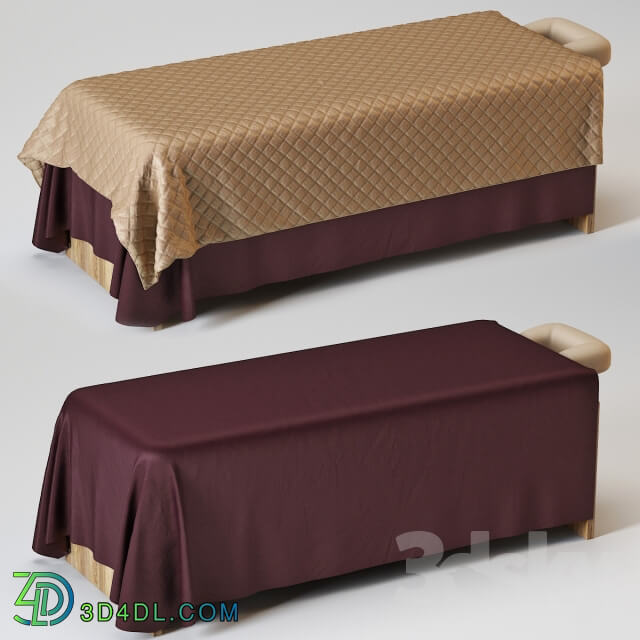 Beauty salon - Spa bed_ bed