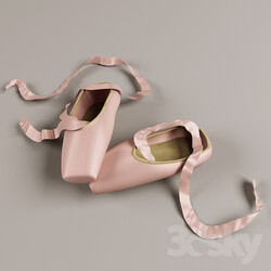 Clothes and shoes - Pointes 