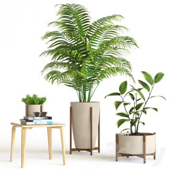 Plant - Plant set 