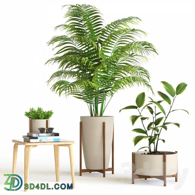 Plant - Plant set