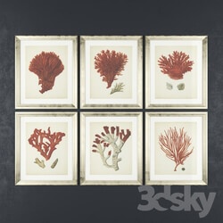 Frame - Antique Red Coral Prints by Eichholtz 