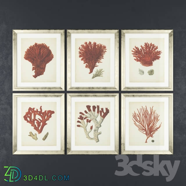 Frame - Antique Red Coral Prints by Eichholtz