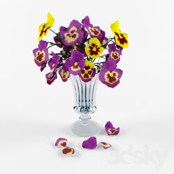 Plant - Bouquet of pansies 