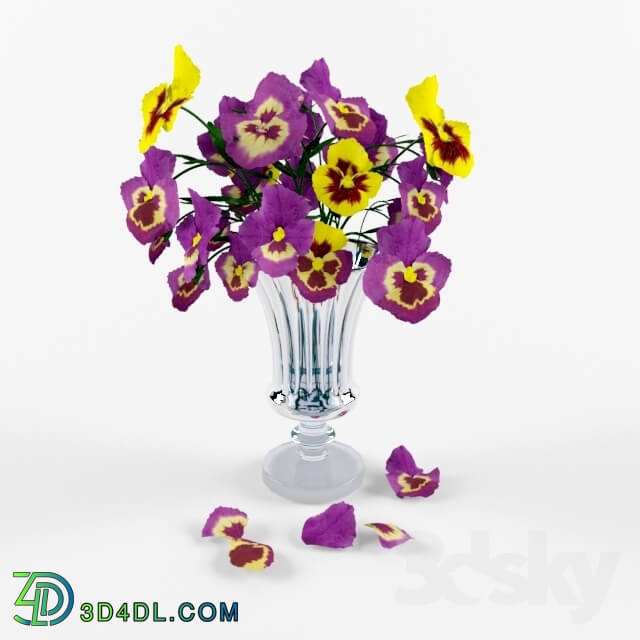 Plant - Bouquet of pansies