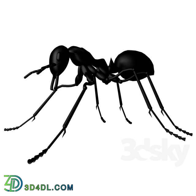 Creature - Ant