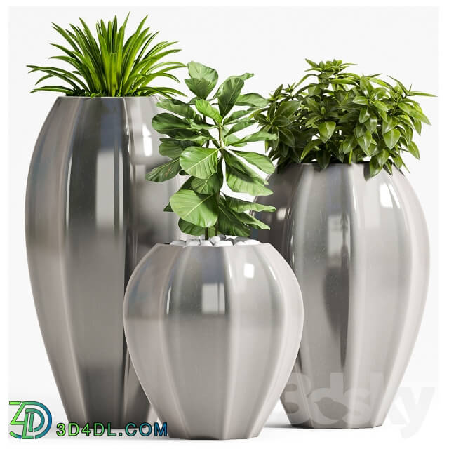 Plant - PLANT SET - 70