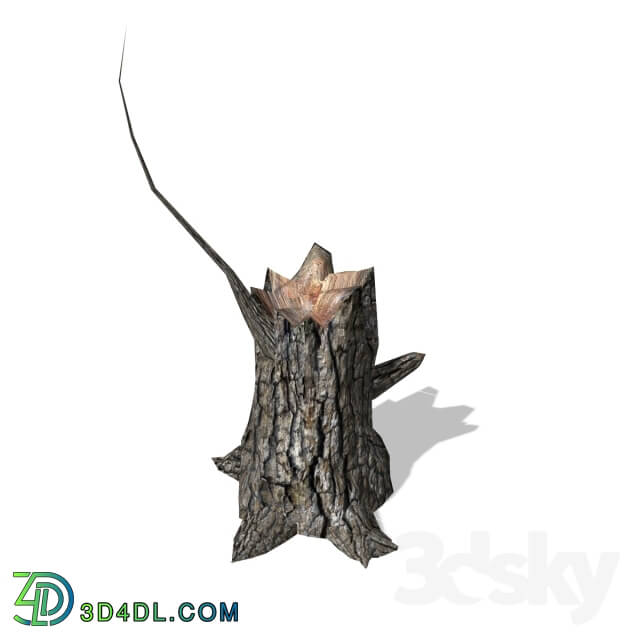 Plant - Stump - Stump - 00013