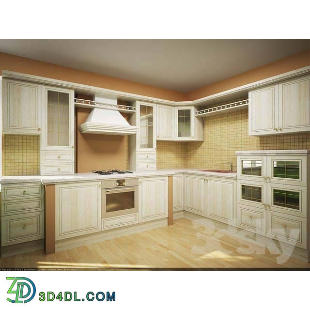 Kitchen - classical cuisine