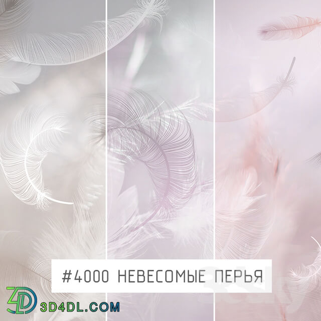 Wall covering - Creativille _ Wallpapers _ Feathers 4000