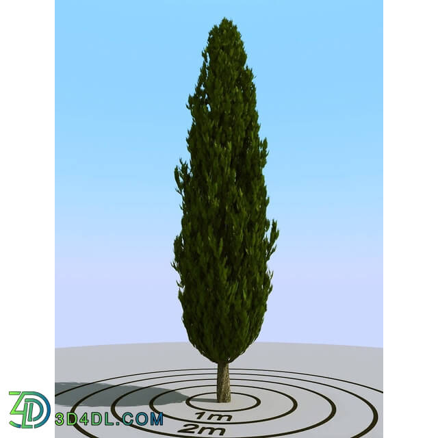 3dMentor HQPlants-02 (132) cypress 1