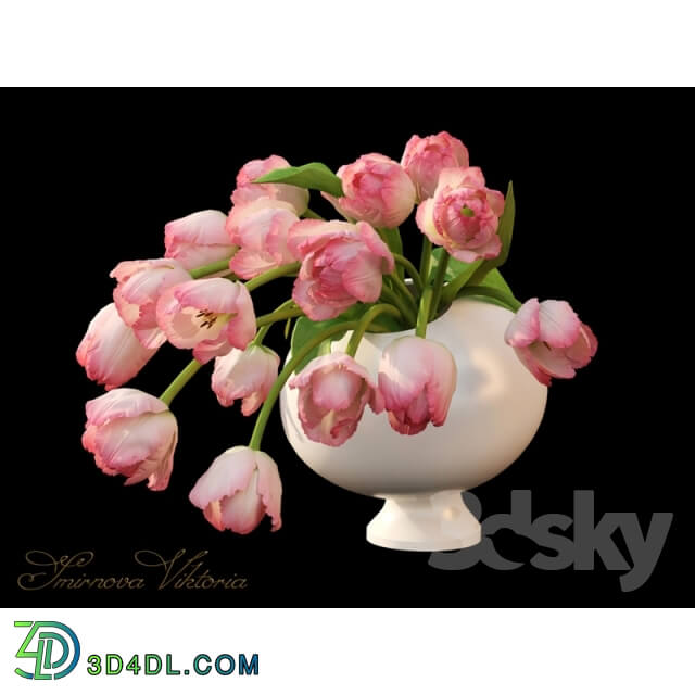 Plant - Bouquet pink tulips