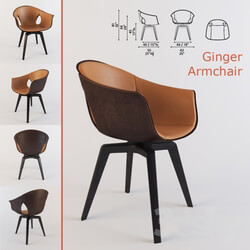 Arm chair - Armchair Ginger Poltrona Frau 