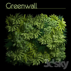 Plant - Greenwall 