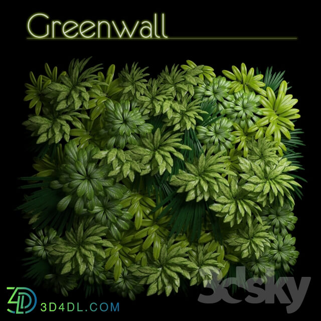 Plant - Greenwall