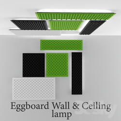 Ceiling light - Eggboard wall and ceiling 