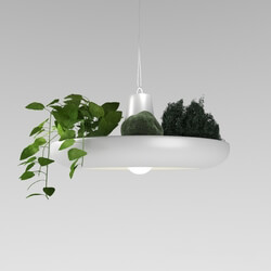 Ceiling light - Inodesign Plant 40.404 