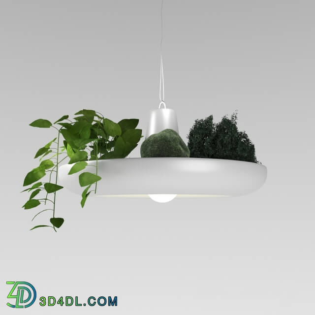 Ceiling light - Inodesign Plant 40.404