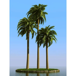 3dMentor HQPalms-03 (10) canary date palm wind 