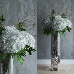Plant - White hydrandeas in tall vase with willow branches 