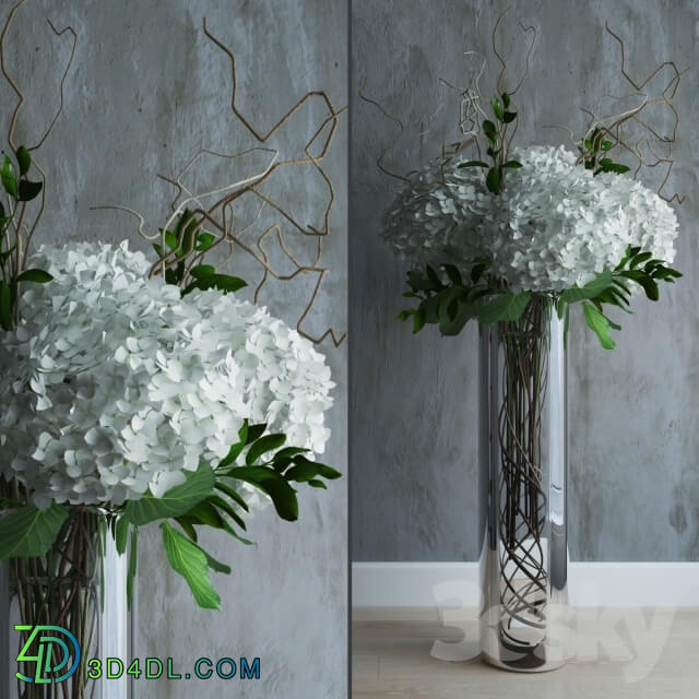 Plant - White hydrandeas in tall vase with willow branches