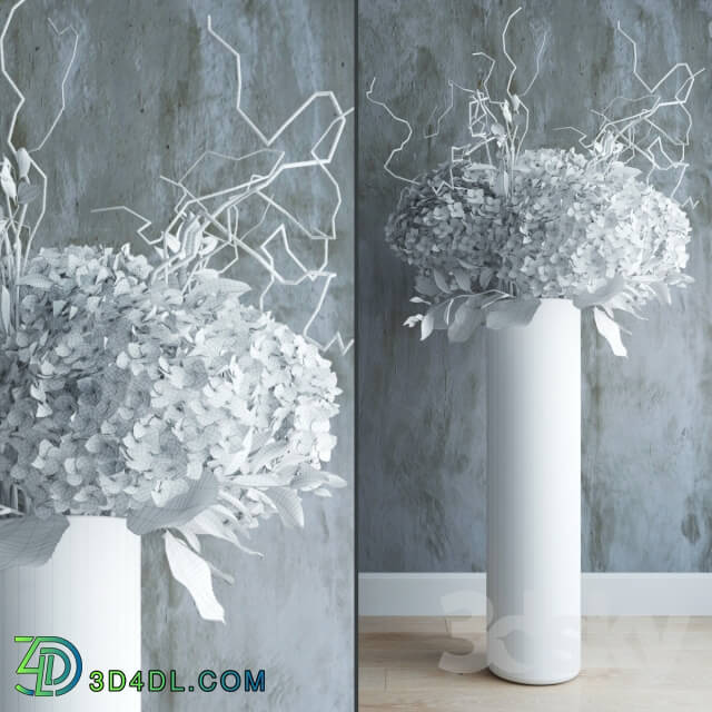 Plant - White hydrandeas in tall vase with willow branches