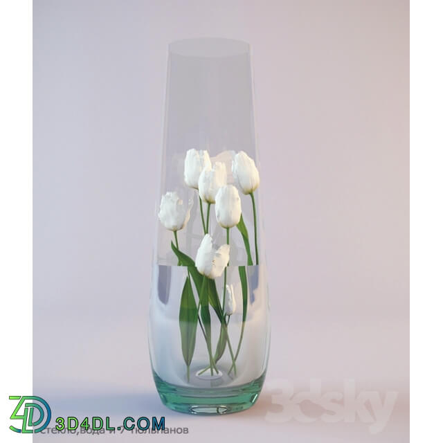 Plant - Vase with tulips