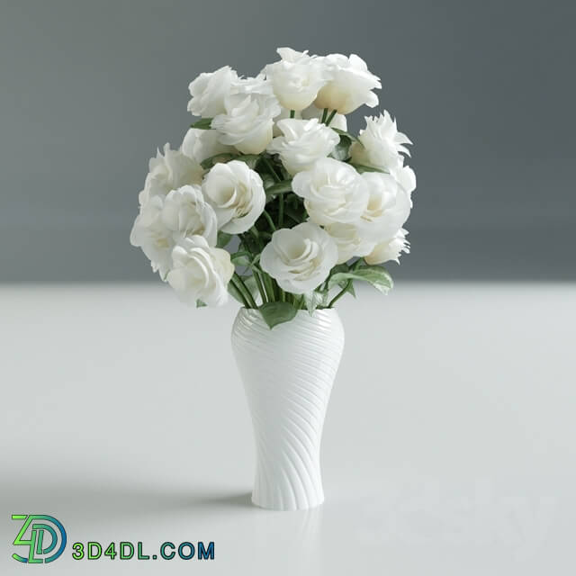 Plant - White Rose in Vase