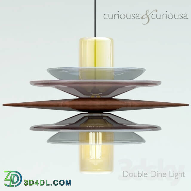 Ceiling light - Double Dine Light