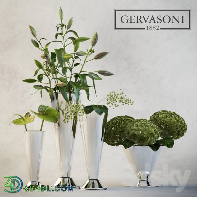 Plant - Silv by Gervasoni