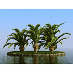 3dMentor HQPalms-03 (12) canary date palm wind 