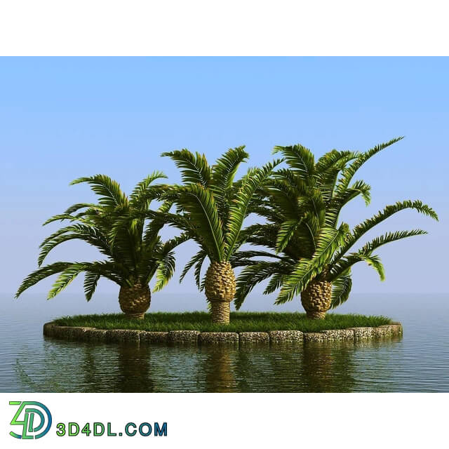 3dMentor HQPalms-03 (12) canary date palm wind