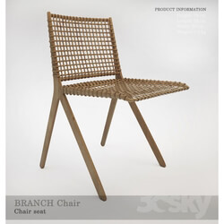 Chair - Brach chair 02 