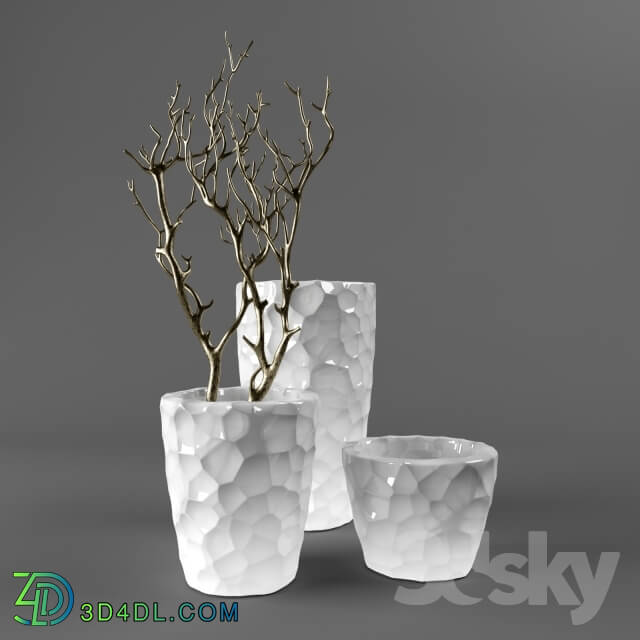 Vase - Vases_ branches