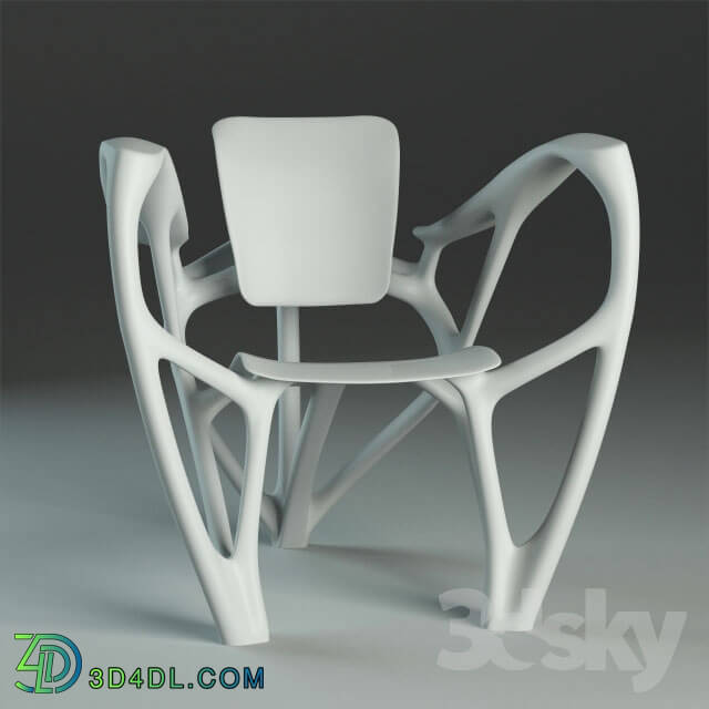 Chair - Bone Chair