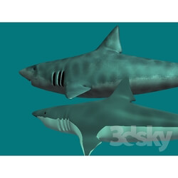 Creature - A simple model of sharks _two pieces_ 