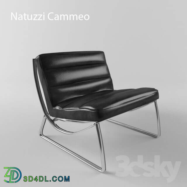 Arm chair - Natuzzi Cammeo