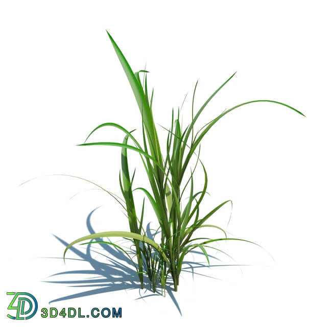 ArchModels Vol124 (067) simple grass v1
